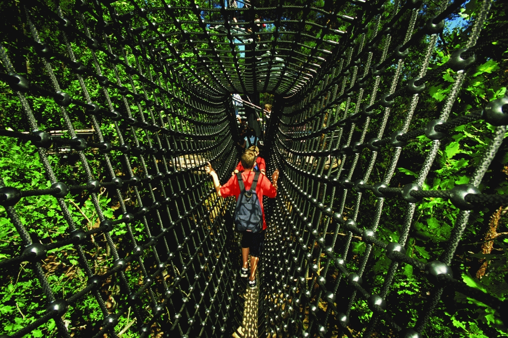 Net Tunnel